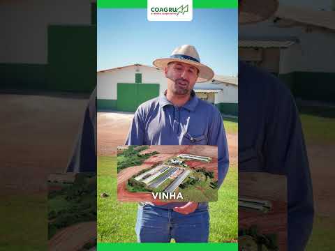 ? ? Falta de Energia na Avicultura??