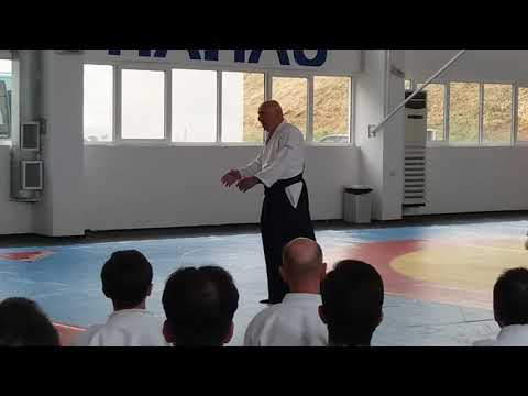 Seminar in Varna 15-17.06.2017 - Michele Quaranta - Video 15