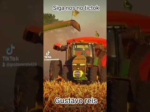 trator caoheitadeira camionete fazenda f250 Gustavo reis lagoa do Tocantins