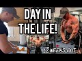 12 WEEKS OUT PHYSIQUE UPDATE // Day In The Life Of A Junior Natural BodyBuilder
