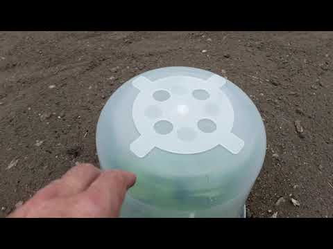 image-Can you use 5 gallon buckets in a greenhouse?Can you use 5 gallon buckets in a greenhouse?