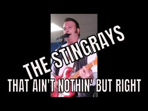 'THE STINGRAYS' at The Wildest Cats In Town.