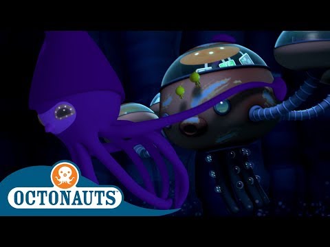 Octonauts Teach About Collossal Squid