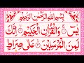 Surah Yaseen | Episode 276 | Yasin Sharif ❤️ | With Arabic Text HD | سورة يس Alafasy Daily Quran