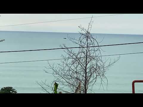 Продаётся дом, с землей, панорамный вид на море, 15 км. от Батуми.