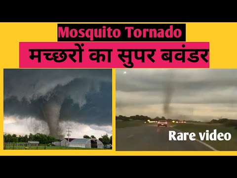 Mosquito tornado in Argentina || Rare Video of this Event