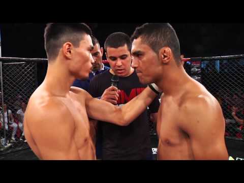 MMC 4 GOLD EDTION - HIGHLIGHT.