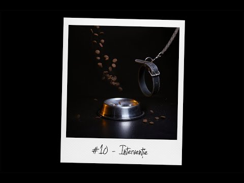 TKE - Interventie (Prod. DAX)