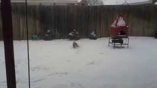 Snow Day  Grand Prairie Texas  February 2015