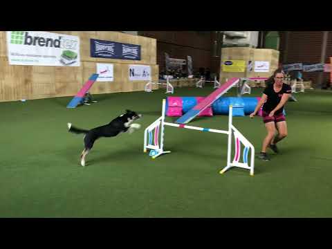 A3 1. place Bing Agility Kupa