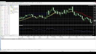 FX自動売買XM生放送配信！
