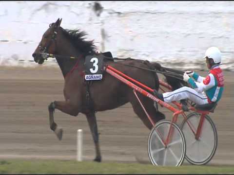 Trotto 30/04/2016 - 9° Corsa TRIS