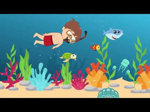 Il Torero Camomillo -  Il pesciolino Rosso