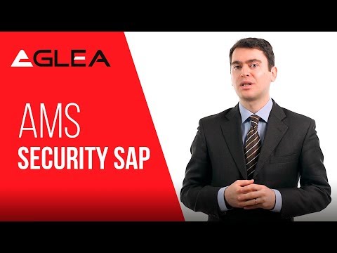AMS Security SAP: cosa significa?