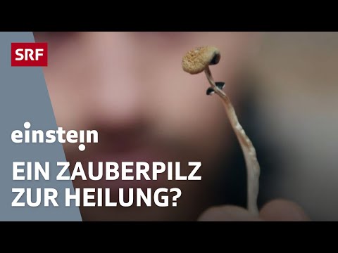 Drogen als Medikamente: Wie LSD, Psilocybin und GHB heilen könnten | Doku | Einstein | SRF Wissen