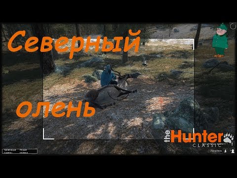 theHunter Classic. Охота на Северного оленя.
