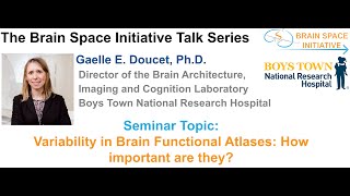 Variability in Brain Functional Atlases: How important are they?