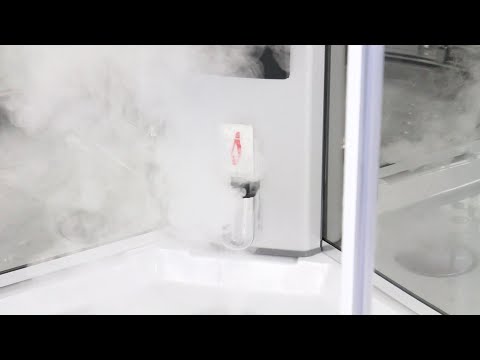 Insignia Premium Offset Steam Shower - 2nd Generation Showers