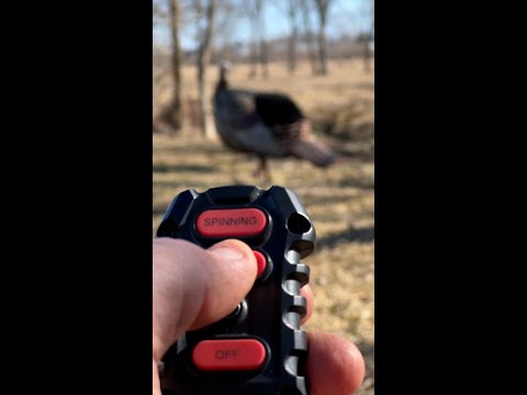 AVIAN X X FACTOR MOTION DECOY STAKE