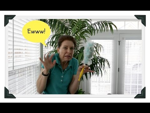 シルクプランツをきれいにする方法 - それは良いアイデアです (How to Clean Silk Plants - It's a Good Idea)