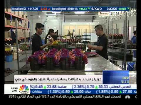 abdellatif bekhouche reportage cnbc arabia