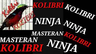 Download lagu Mp3 PIKAT DAN MASTERAN KOLIBRI NINJA mp3 Download lagu Mp3 PIKAT DAN MASTERAN KOLIBRI NINJA mp3