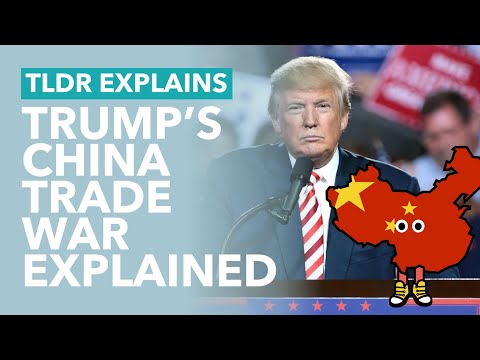 Trump's Trade War With China - TLDR Explains