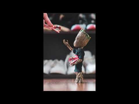 G BAMBINO Live Stream