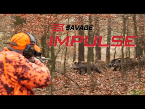 SAVAGE IMPULSE – erste Drückjagd mit dem brandneuen Geradezugrepetierer
