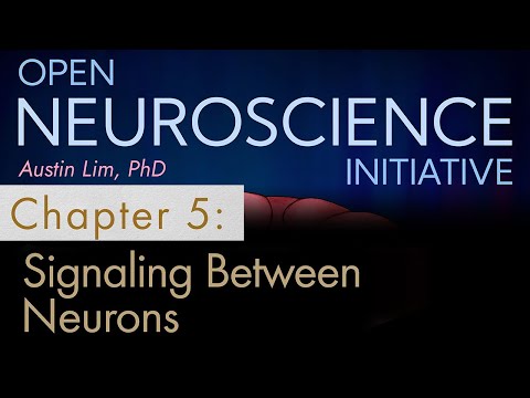 "Signaling Between Neurons" Chapter 5 - Open Neuroscience Initiative (Free audiobook)