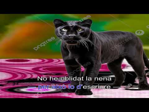 Miniatura de NOVA BOSSA