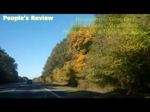 Осень 🍂 🍁2018. Голованевский лес🌲 🌳. (Road-P06 Ukraine🚗 🚕) Взаимная подписка! ⭐ 🌟