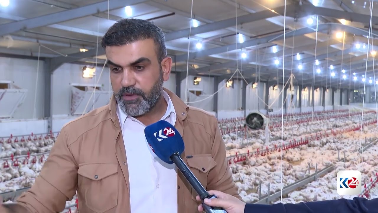ڤیدیۆ | کەرتی بەخێوکردنی پەلەوەر لە دهۆک گەشەی کردووە