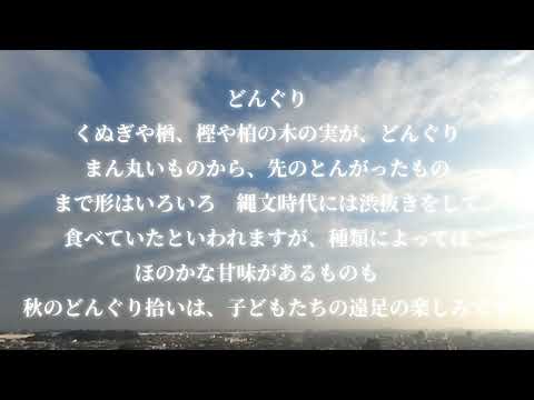 バルコニーに植える ベゴニア カバー 土の混合物 明るい場所 霜よけ