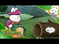 Max Ruby Ruby S Bird Walk Max Goes Fishing Ruby Tries Again Ep 60