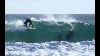 WHITE PLAINS   IN A MOMENT OF MADNESS