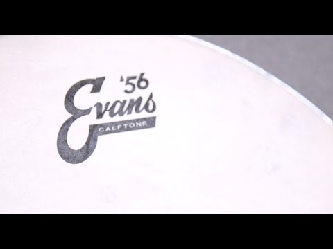 Evans Calftone Drumhead