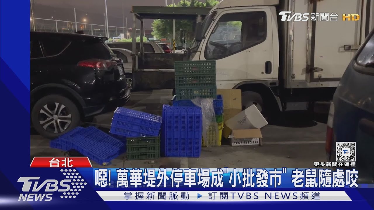 噁!萬華堤外停車場成「小批發市」 老鼠隨處咬