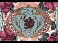 SZA Child S Play 30 Min Loop Without Chance The Rapper