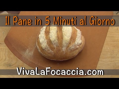 Il Pane Casereccio in 5 Minuti al Giorno
