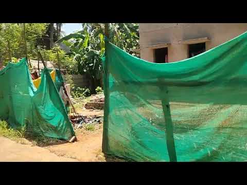  Residential Plot 2915 Sq.ft. for Sale in Pattukkottai, Thanjavur