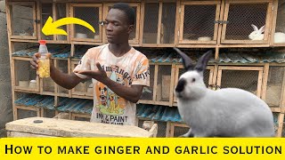 How to prepare ginger and garlic solution for your rabbit