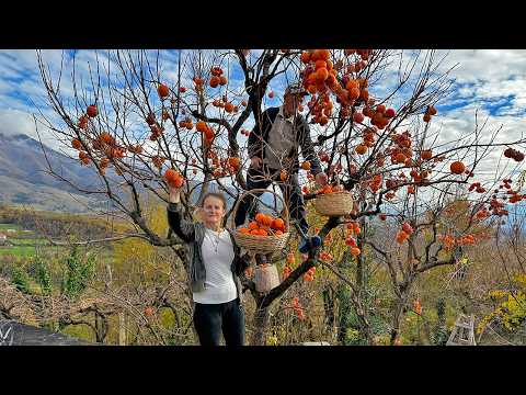 The LAST Persimmons of the Year ๐๐ฅ Turned into a Viral Dessert!