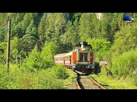 Torpila 82-0446-3 cu Mecanici de Treaba/with Nice Engineers in Apuseni Mountains - 25 August 2016