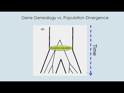 CARTA: Ancient DNA and Human Evolution – Brenna Henn: The Origins of Modern Humans in Africa