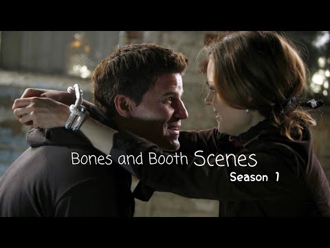 Bones & Booth scenes (season 1) [1080p, mostly logoless]