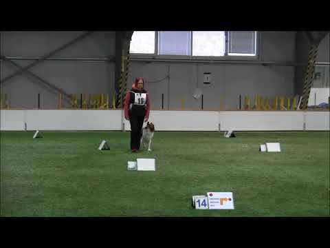 28.10.2017 Vantaa, Koda MES0