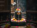 Shiva Expert Reveals The BEST Kept Secret Of Avudaiyar Temple
