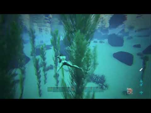 Xbeast_monsterz  we zijn geraid     dag 31 van de grind