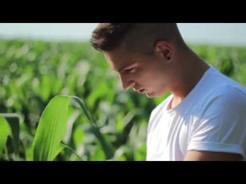 DEEKAY - ALLES IST OKAY (Musikvideo)